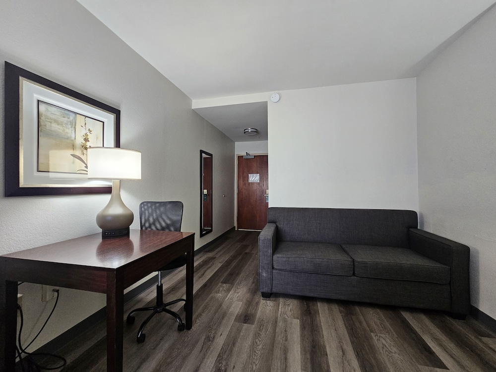 Suite, 1 King Bed with Sofa bed, Non Smoking - Photo 10