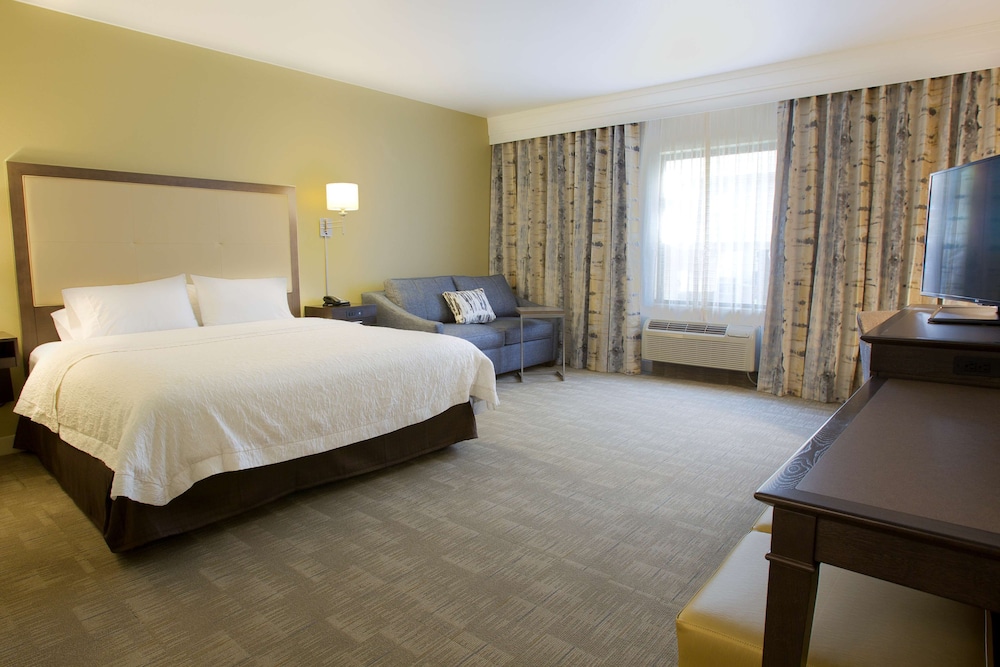 Room, 1 King Bed, Accessible, Non Smoking photo 1