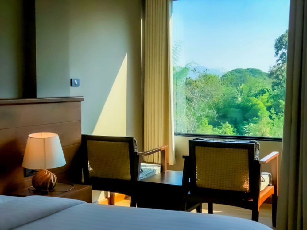 Superior Single Room photo 3