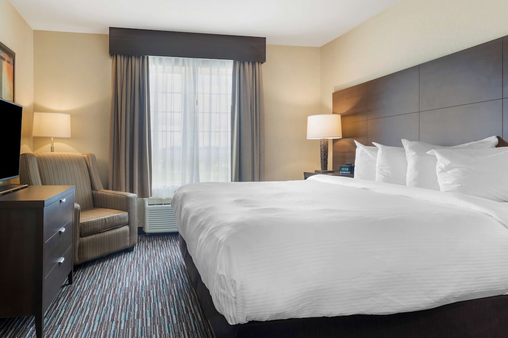 Suite, 1 King Bed, Non Smoking (Larger Room;with Sofabed) - Photo 1