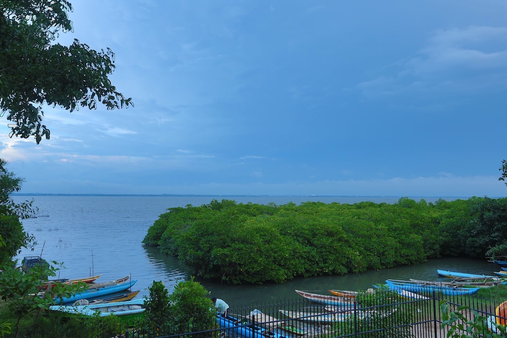 Suite, Lagoon View photo 2