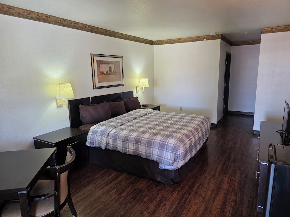 Basic Single Room photo 1