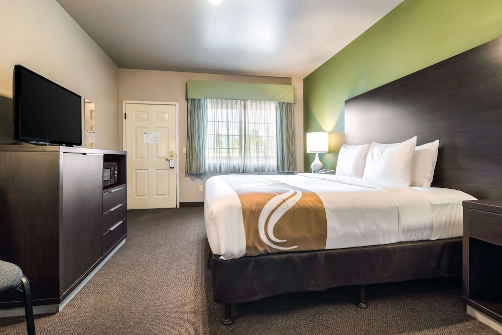 Standard Room, 1 King Bed, Non Smoking, Microwave - Photo 11