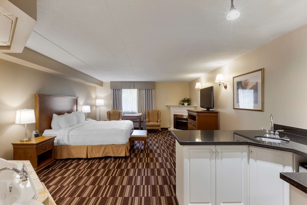Standard Room, 1 King Bed, Non Smoking, Jetted Tub - Photo 1