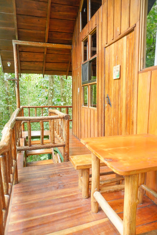 The Sloth Tree House photo 2