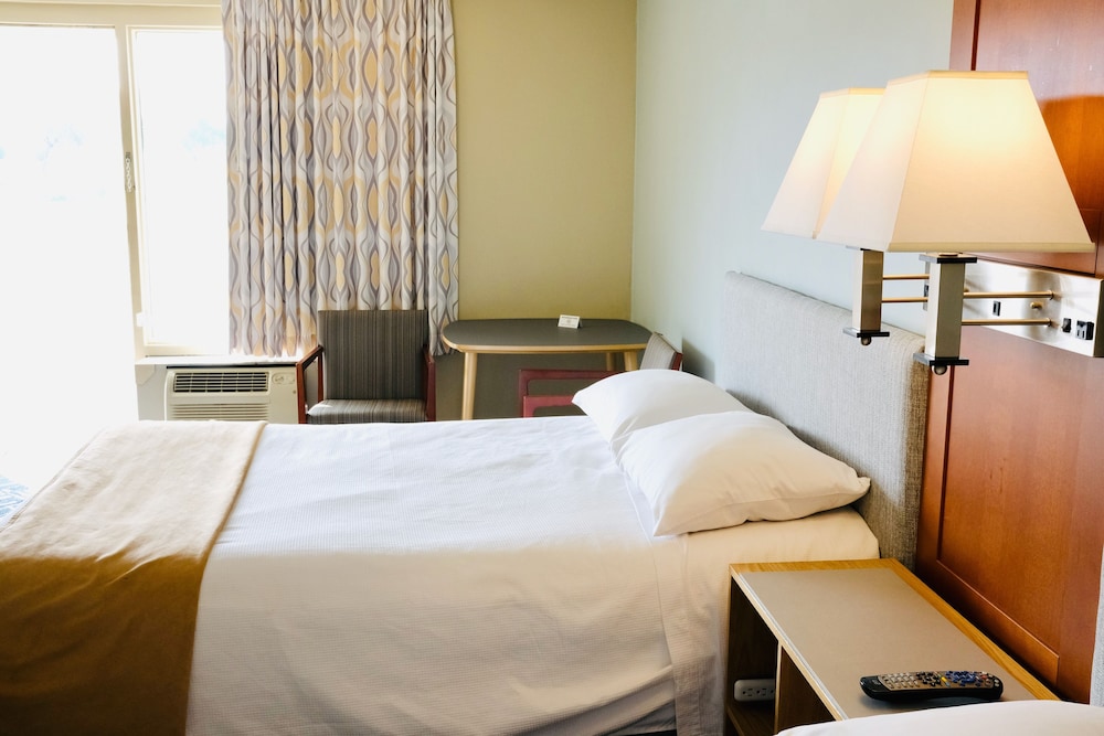 Comfort Single Room, 1 Double Bed photo 1