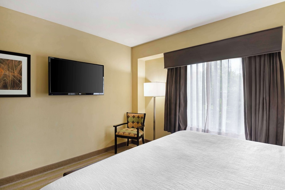 Suite, 1 King Bed, Non Smoking, Kitchenette (Penthouse Suite) photo 2