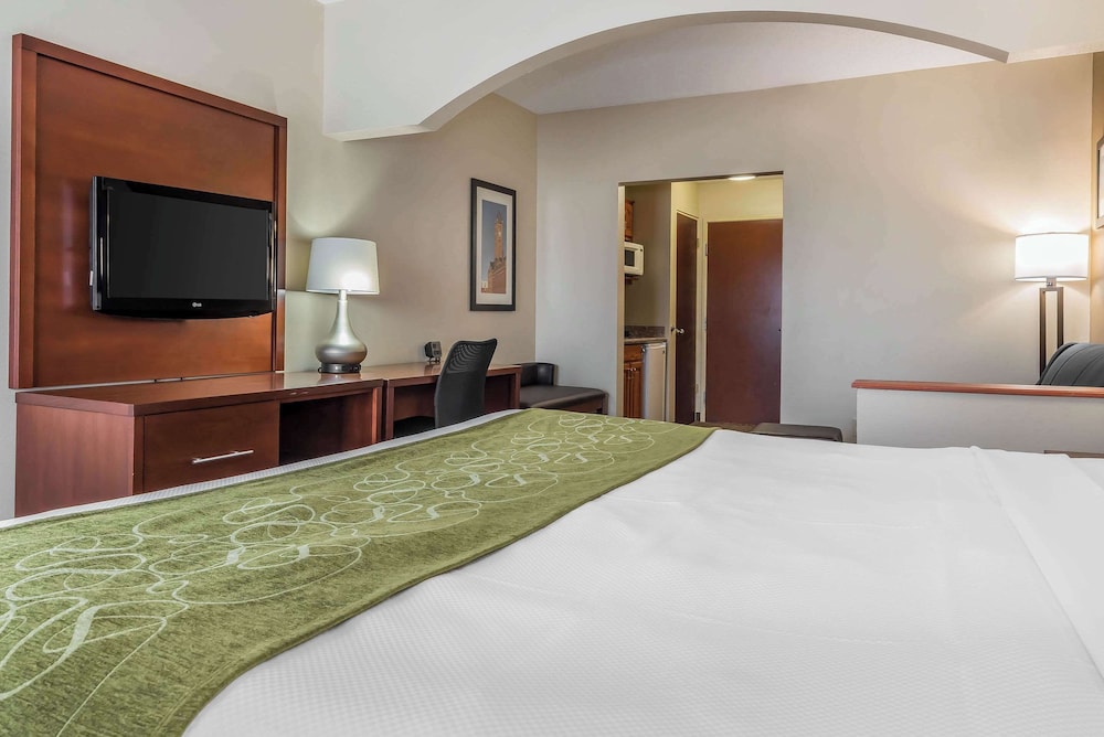 Suite, 1 King Bed, Non Smoking - Photo 30