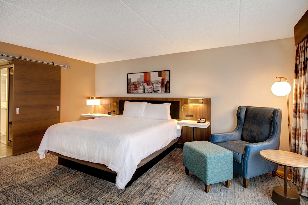 Suite, 1 King Bed, Accessible - Photo 5