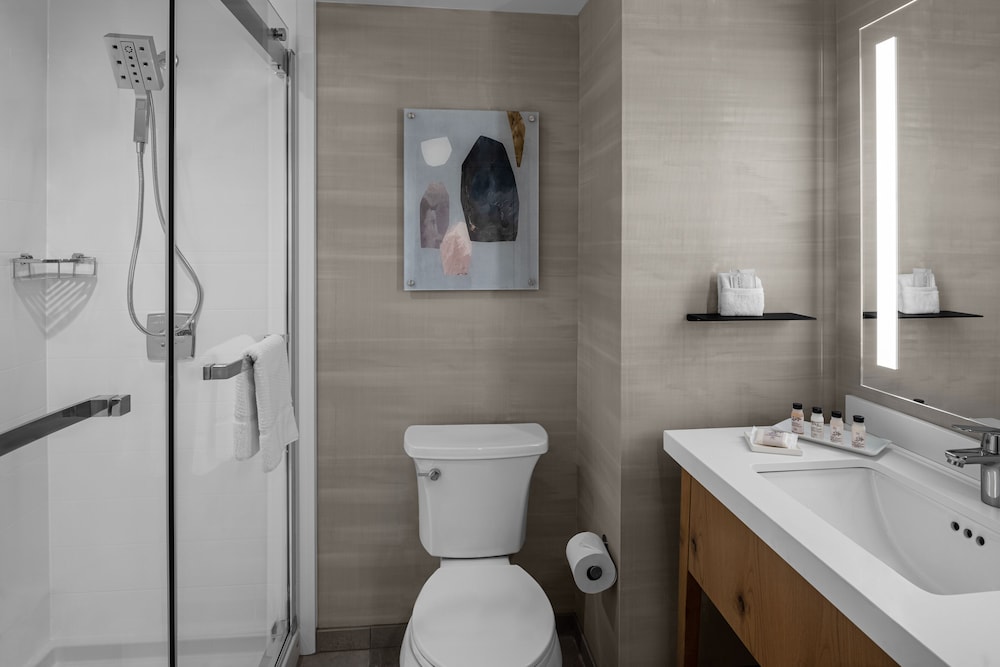 Room, 1 King Bed, High Floor, Exterior Entry (Mobility/Hearing Access, Roll-In Shwr) photo 3