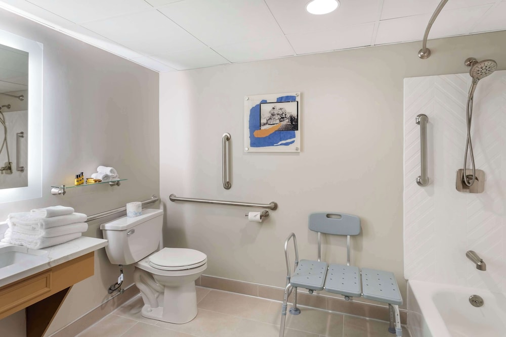 Standard Room, 1 King Bed, Accessible, Refrigerator & Microwave - Photo 6