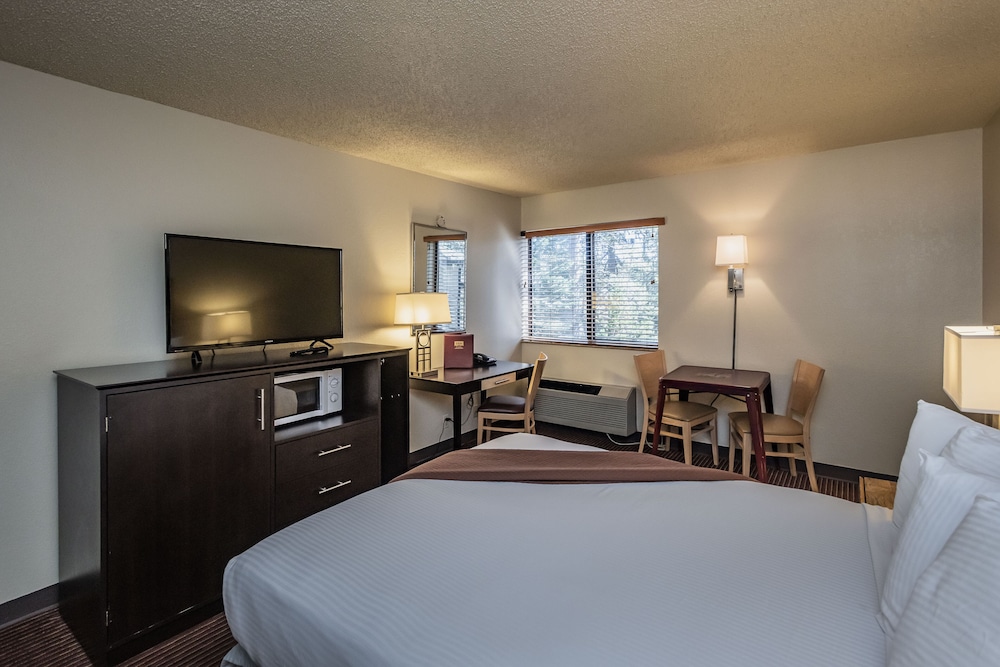 Standard Single Room photo 3