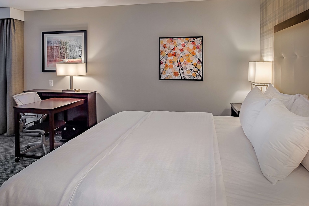 Deluxe Studio, 1 King Bed, Non Smoking, Courtyard View - Photo 1