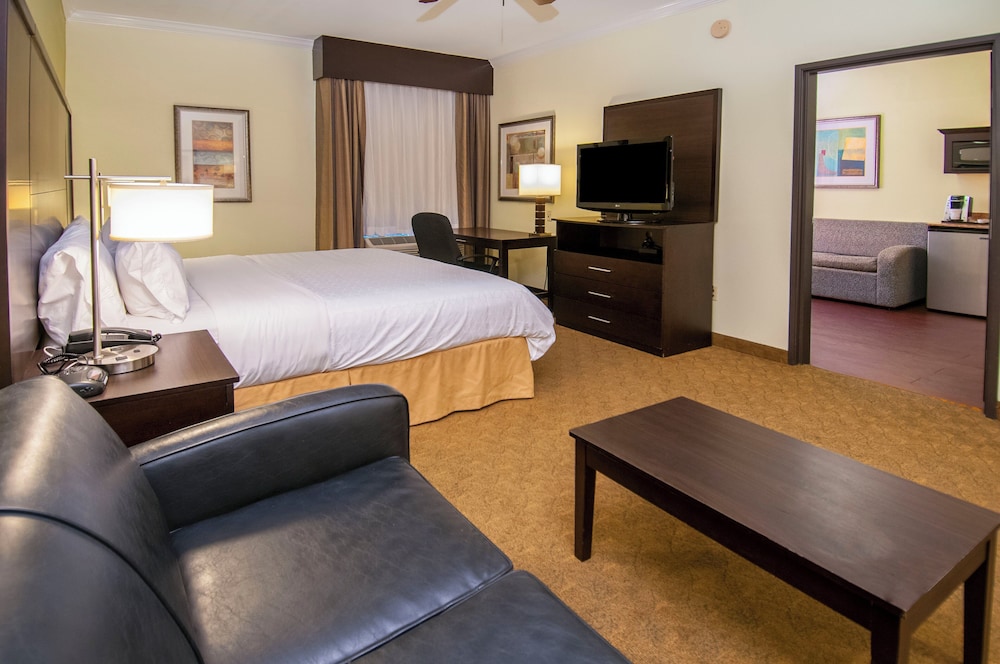 Suite, 1 King Bed - Photo 1