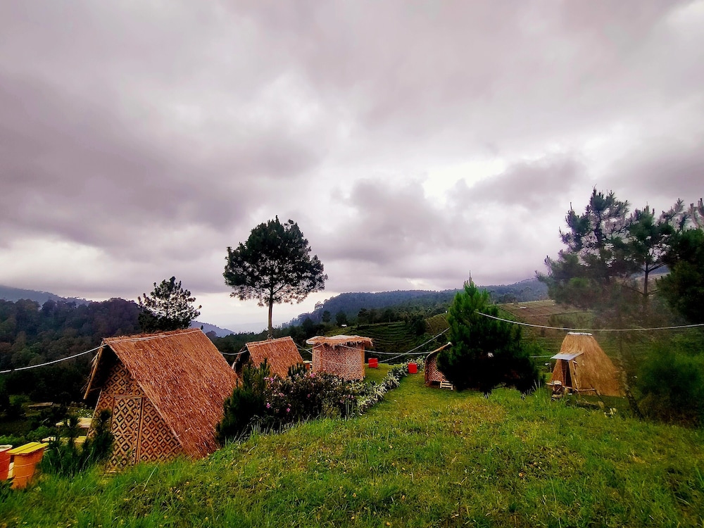 Panoramic Cabin, 1 Bedroom, Smoking, Mountain View photo 3