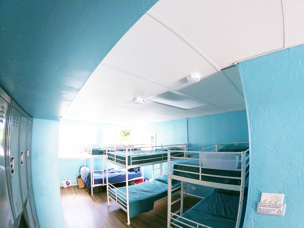 12 Bed Mixed Dormitory photo 3