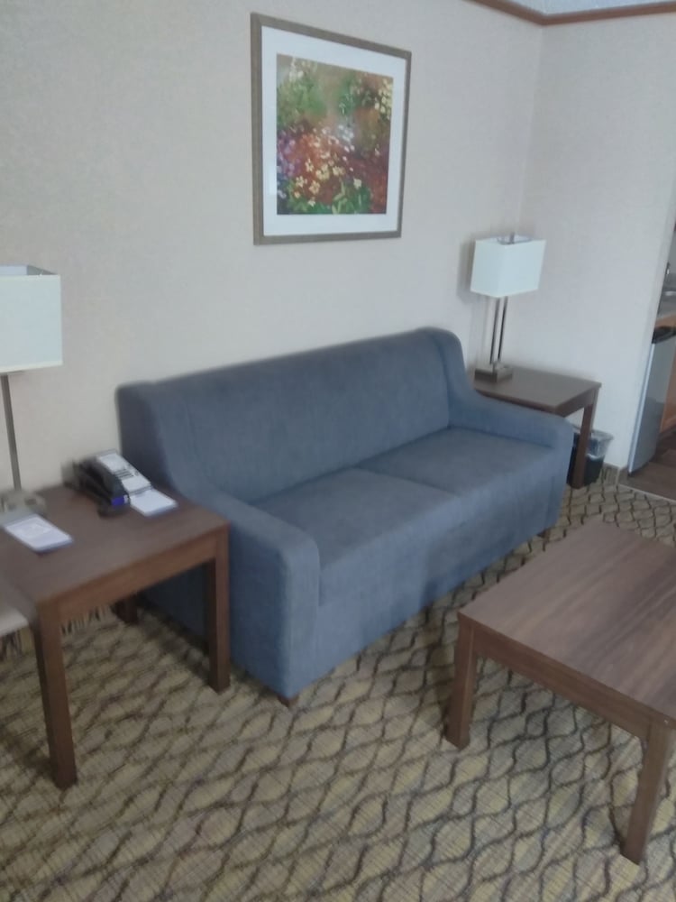 Room, 1 King Bed with Sofa bed, Non Smoking photo 3