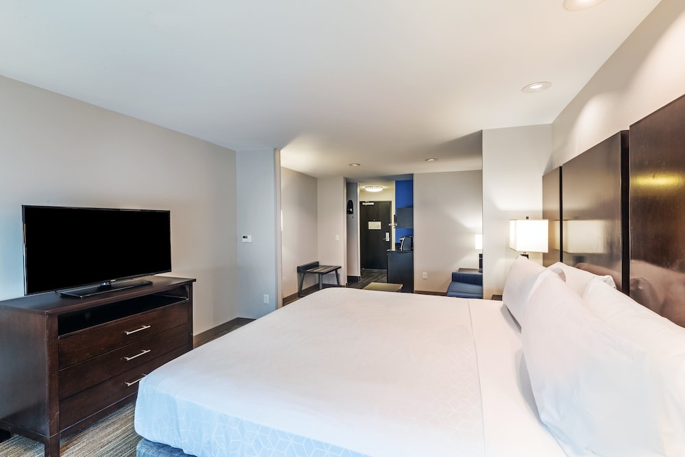 Suite, 1 King Bed with Sofa bed - Photo 1