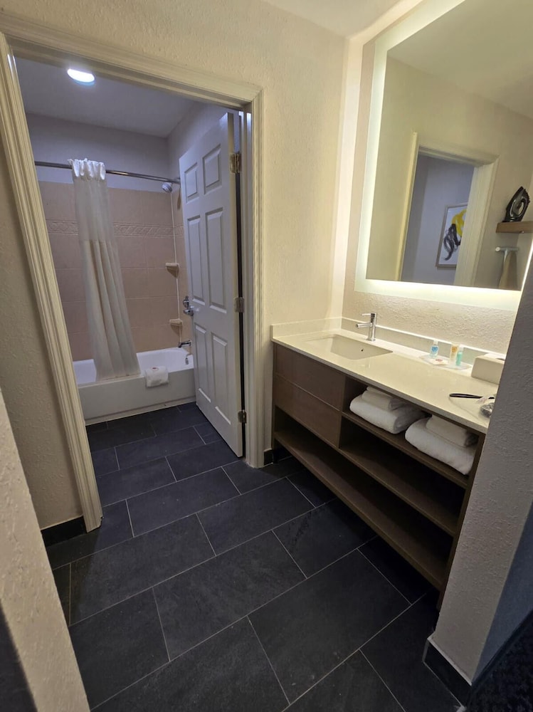 Suite, 1 King Bed with Sofa bed, Accessible, Non Smoking - Photo 3