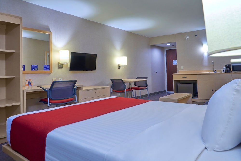 Suite, 1 Bedroom - Photo 4