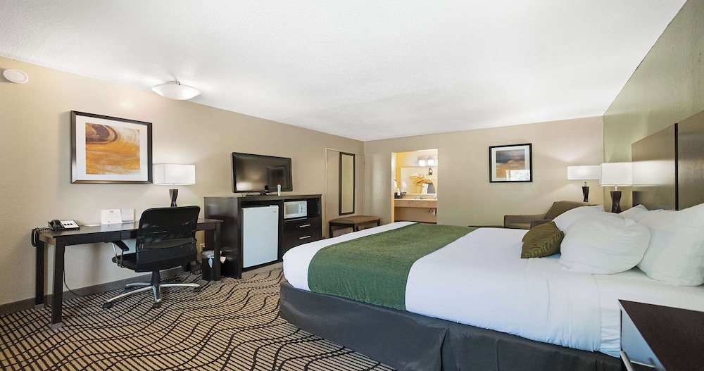 Deluxe Room, 1 Queen Bed, Non Smoking, Refrigerator & Microwave - Photo 1