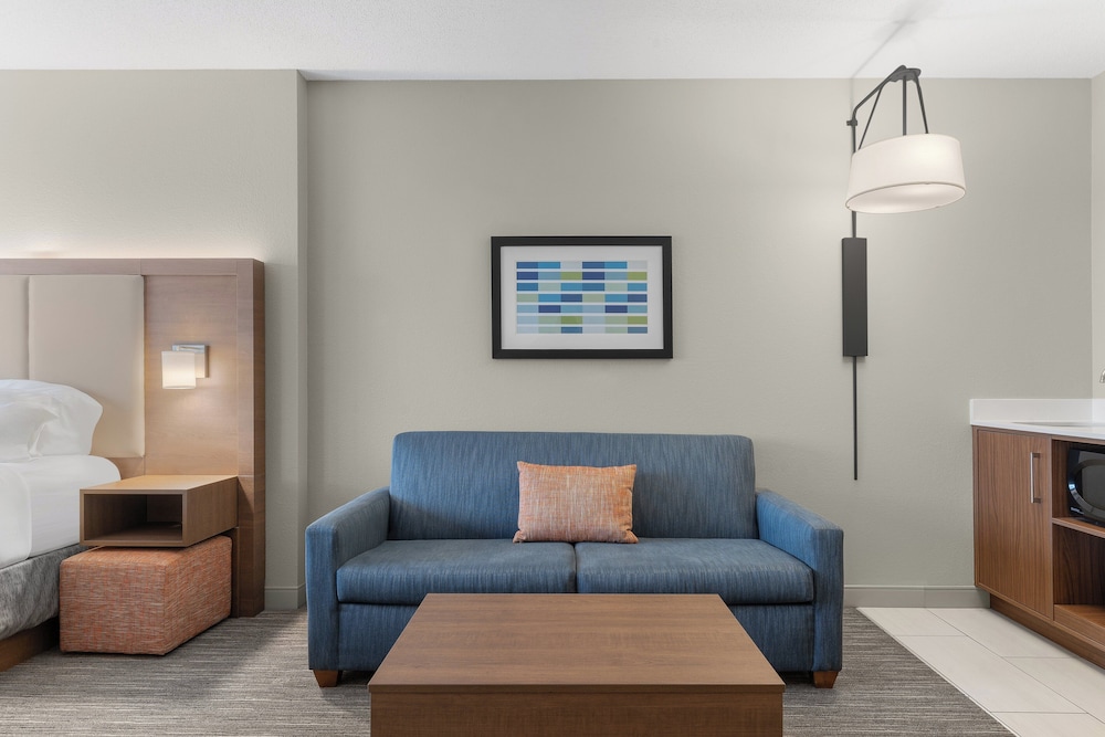 Suite, 1 King Bed, Mobility Accessible (Communications, Roll-In Shower) photo 2
