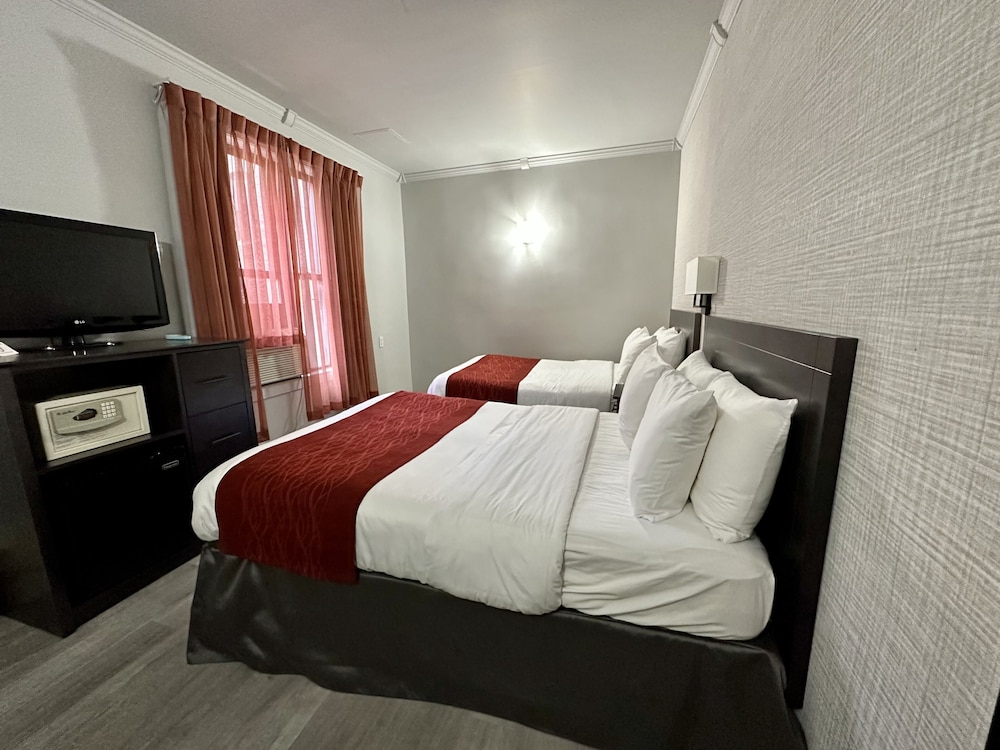 Petite Room, 2 Double Beds, Non Smoking photo 3