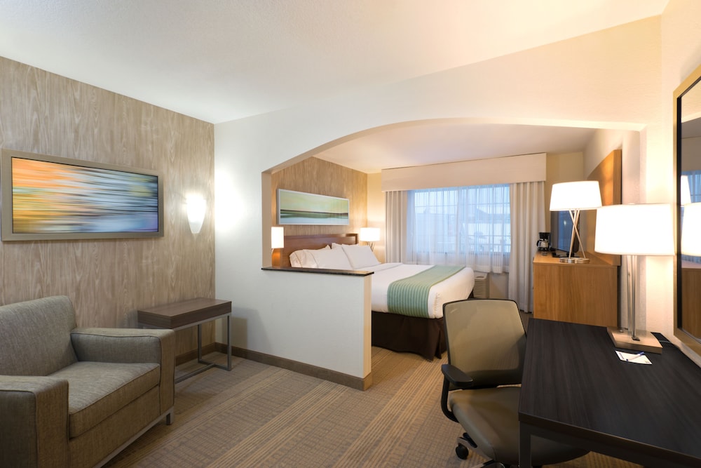 Suite, 1 King Bed, Accessible - Photo 1