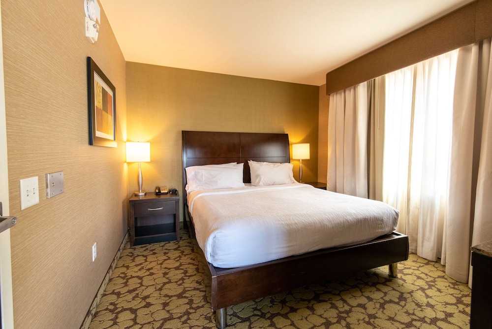 One King Bed - Photo 2