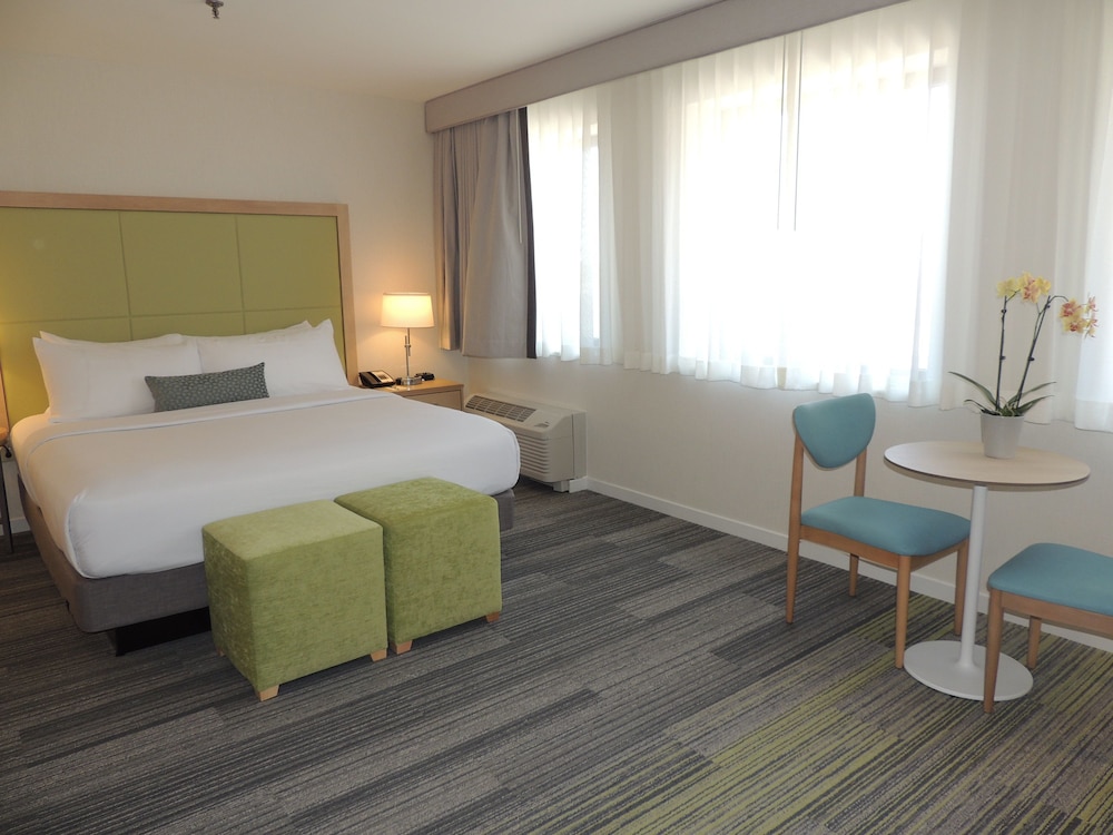 Studio Suite, 1 King Bed, Kitchenette - Photo 1