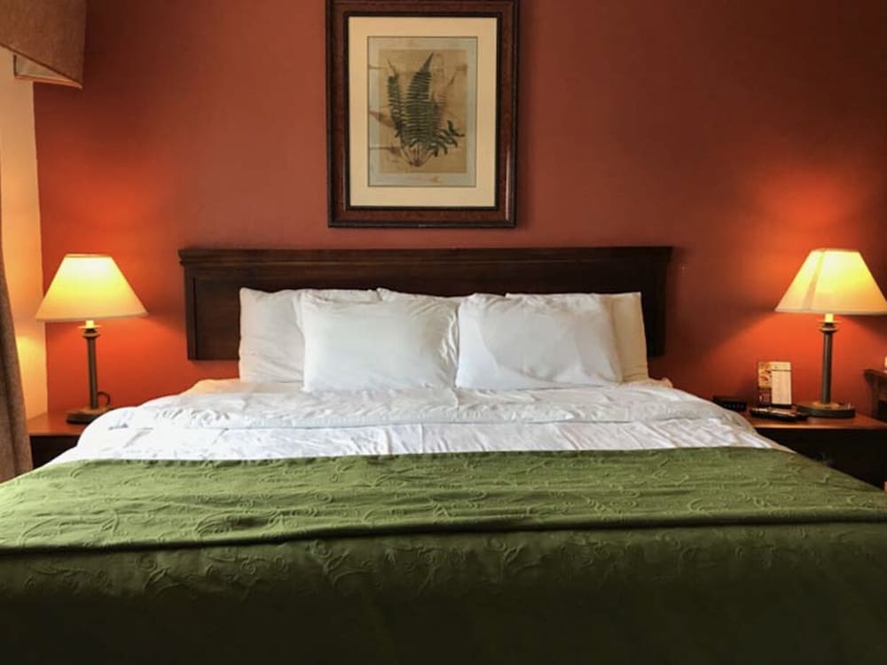 Basic Single Room photo 1
