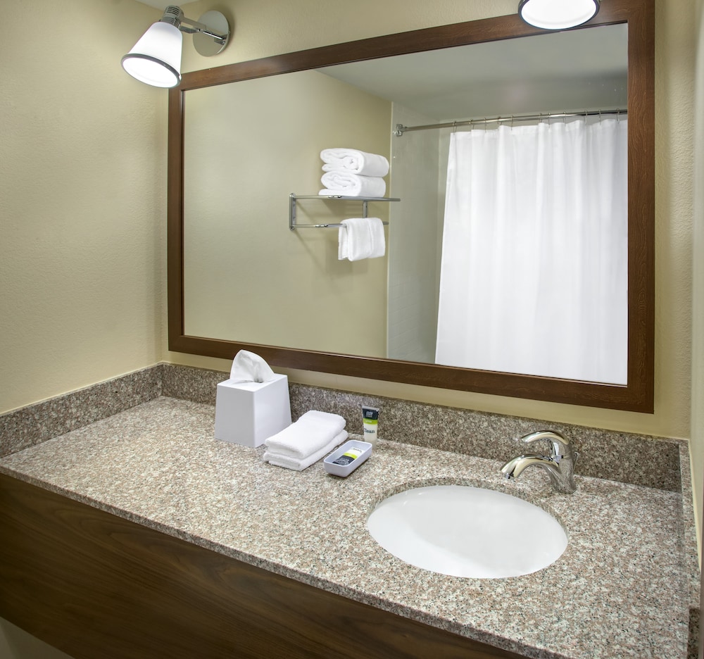Suite, 1 Bedroom - Photo 4