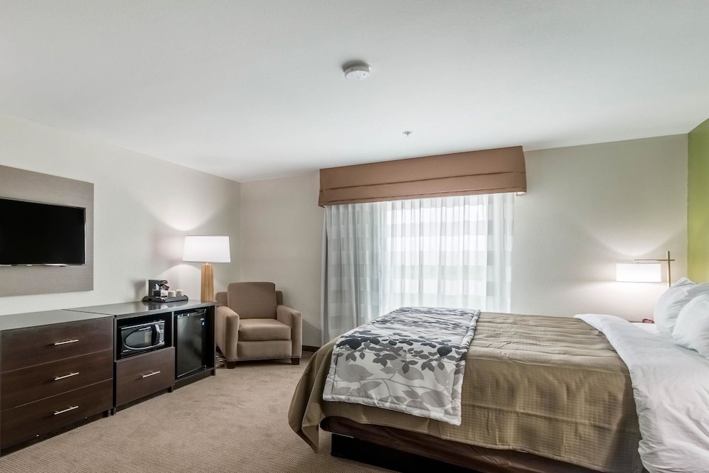 Suite, 1 King Bed, Accessible, Non Smoking photo 3