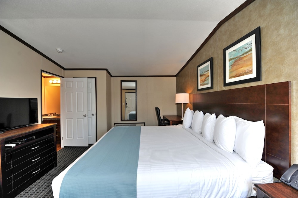 Room, 1 King Bed, Kitchenette photo 3
