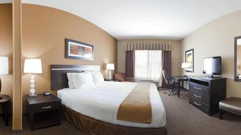 Standard Room, 1 King Bed (Pet Friendly) - Photo 4