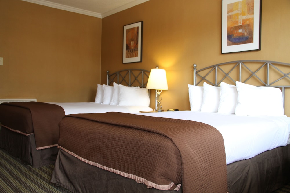 Superior Double Room, 2 Double Beds photo 1