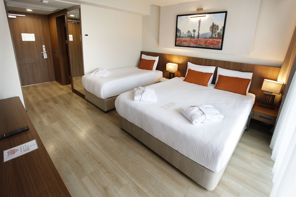 Deluxe Triple Room, 1 Bedroom, Mountain View