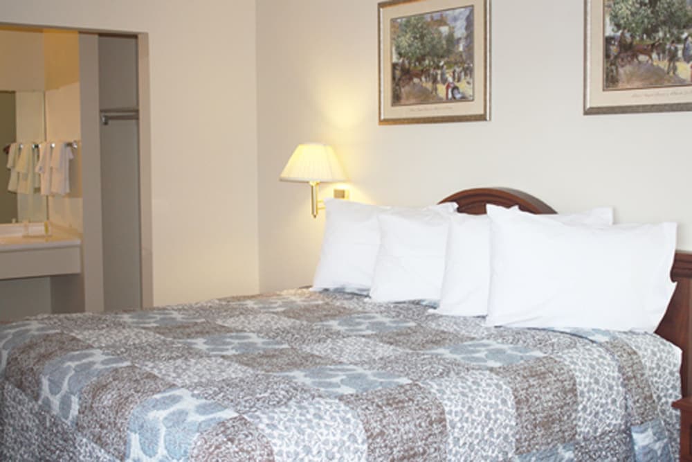 Premium Room, 1 King Bed photo 1