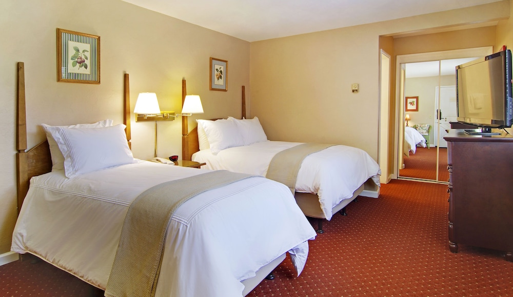 Economy Room, Multiple Beds (Pet-Friendly) photo 1