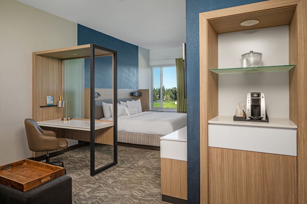 Suite, 1 King Bed with Sofa bed photo 1
