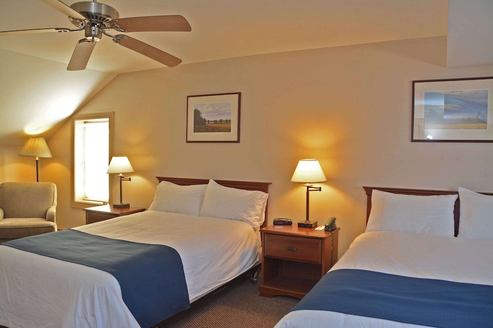 Standard Room, 2 Double Beds, Non Smoking photo 1