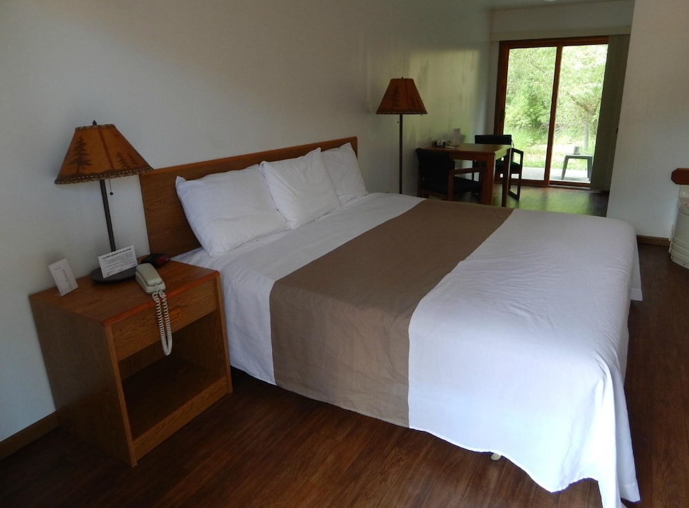 Room, 1 King Bed, Non Smoking photo 3