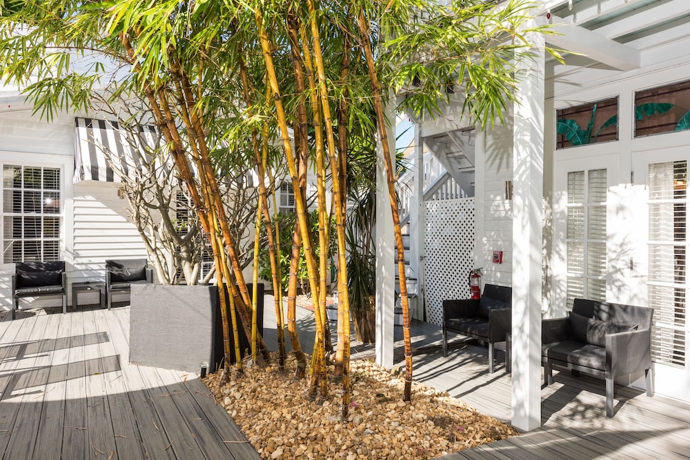Alexanders Guesthouse - Adult Exclusive, LGBTQ Friendly, Photo 7