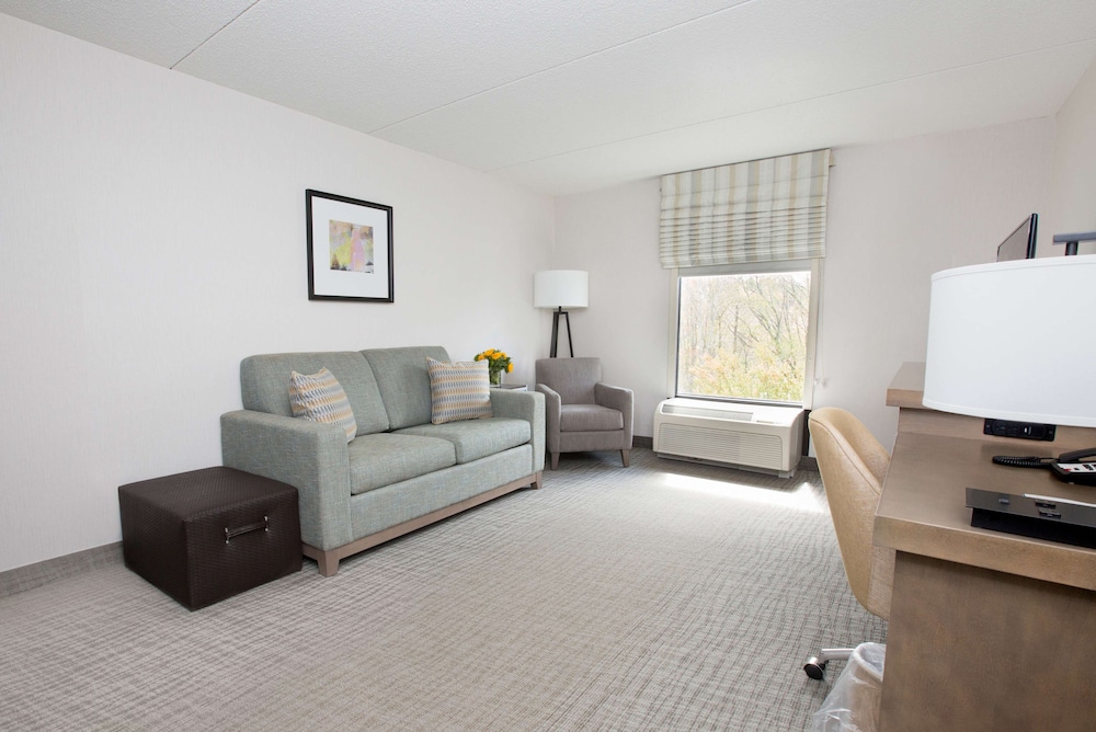 Suite, 1 King Bed, Accessible, Non Smoking - Photo 1