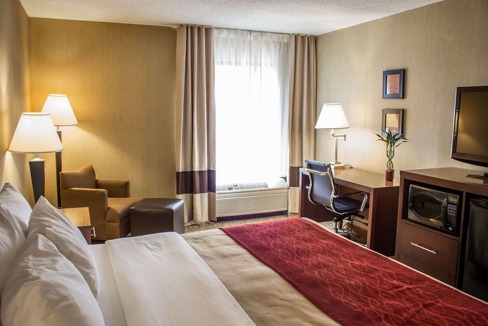 Standard Room, 1 King Bed, Non Smoking (No Pets) - Photo 7