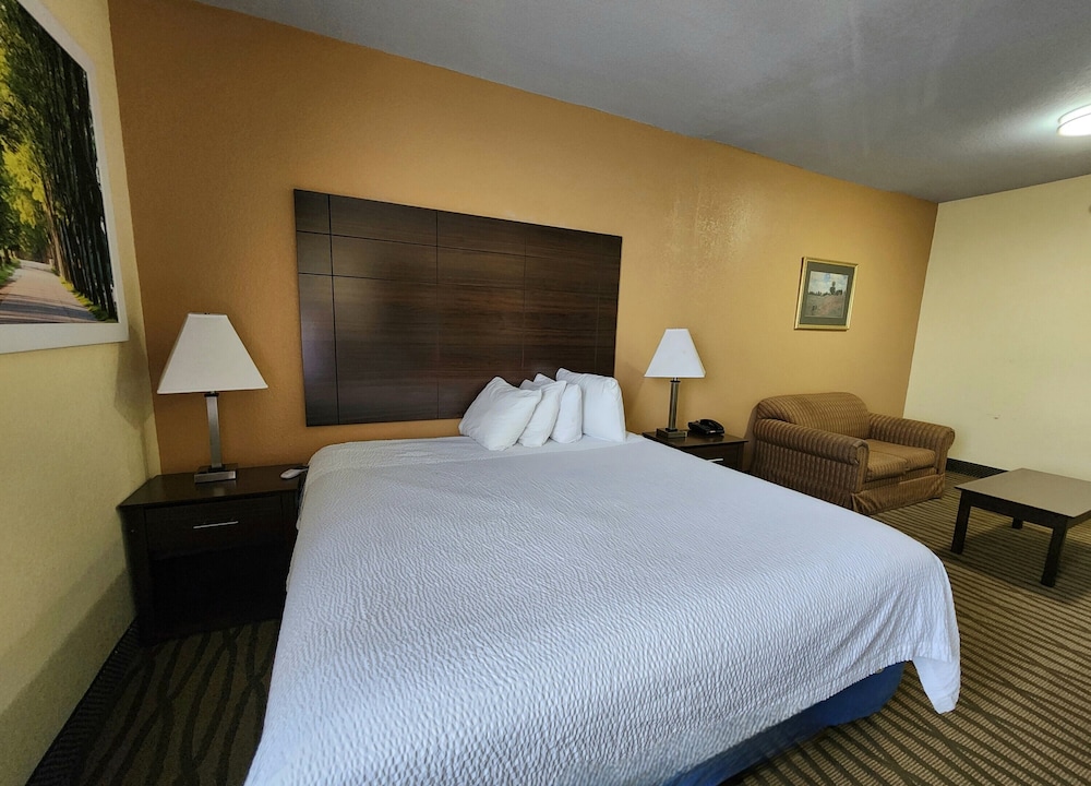 Deluxe Studio Suite, 1 King Bed, Non Smoking - Photo 6