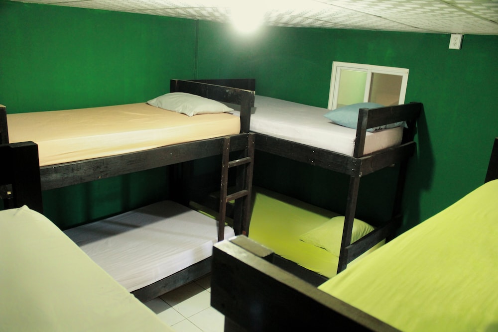 Basic Shared Dormitory photo 2
