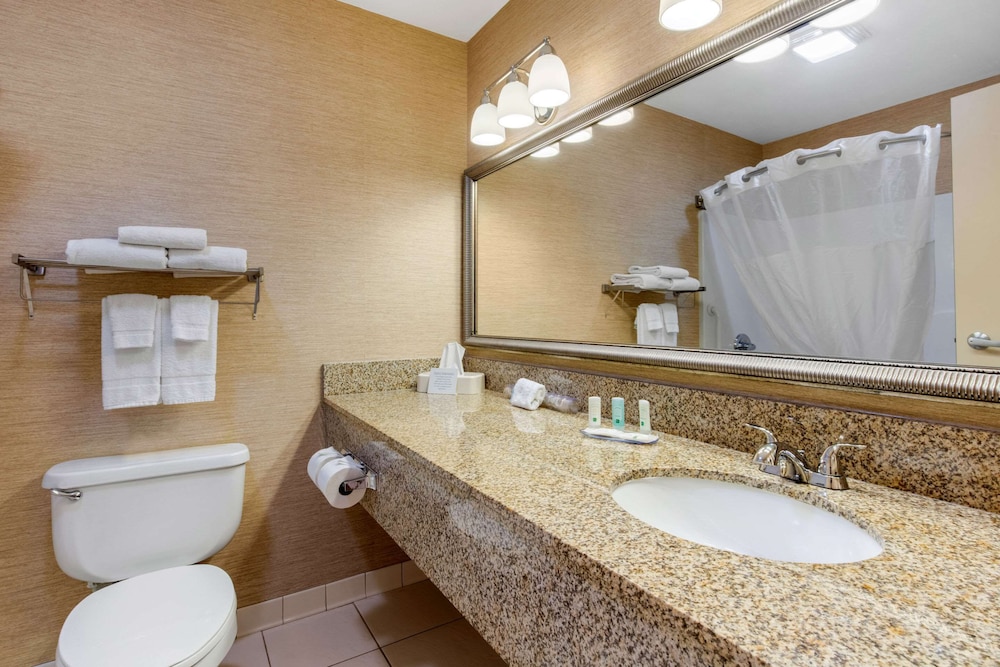 Suite, 1 King Bed with Sofa bed, Non Smoking, Kitchen (2 Person Sofa bed) - Photo 5