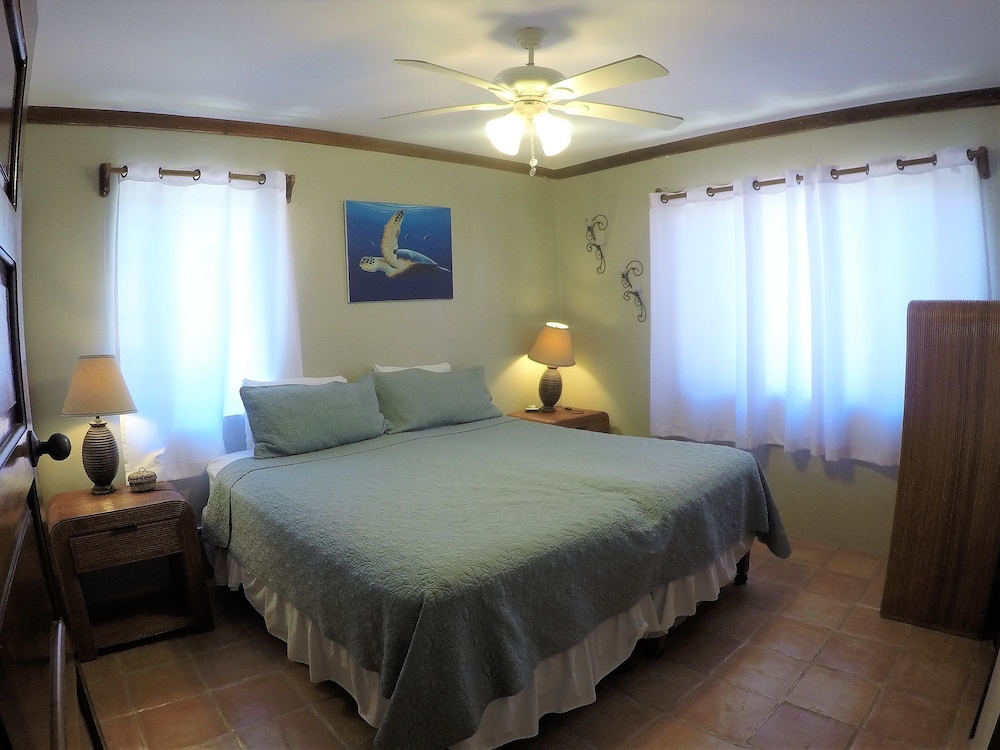 Villa, 1 King Bed with Sofa bed, Ocean View (2nd Floor Beachfront) photo 1