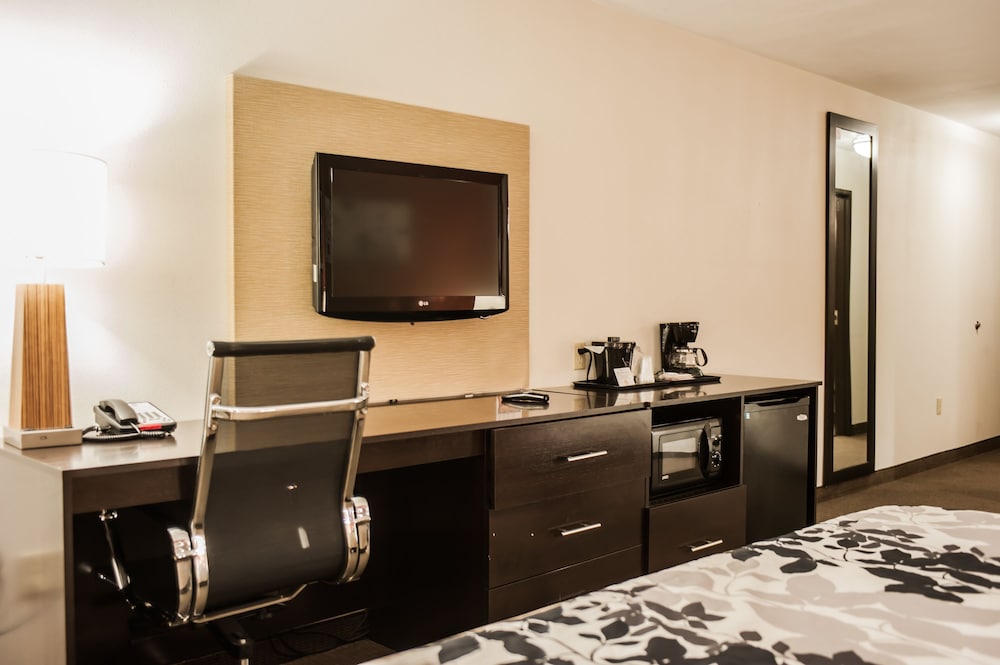 Suite, Non Smoking photo 1